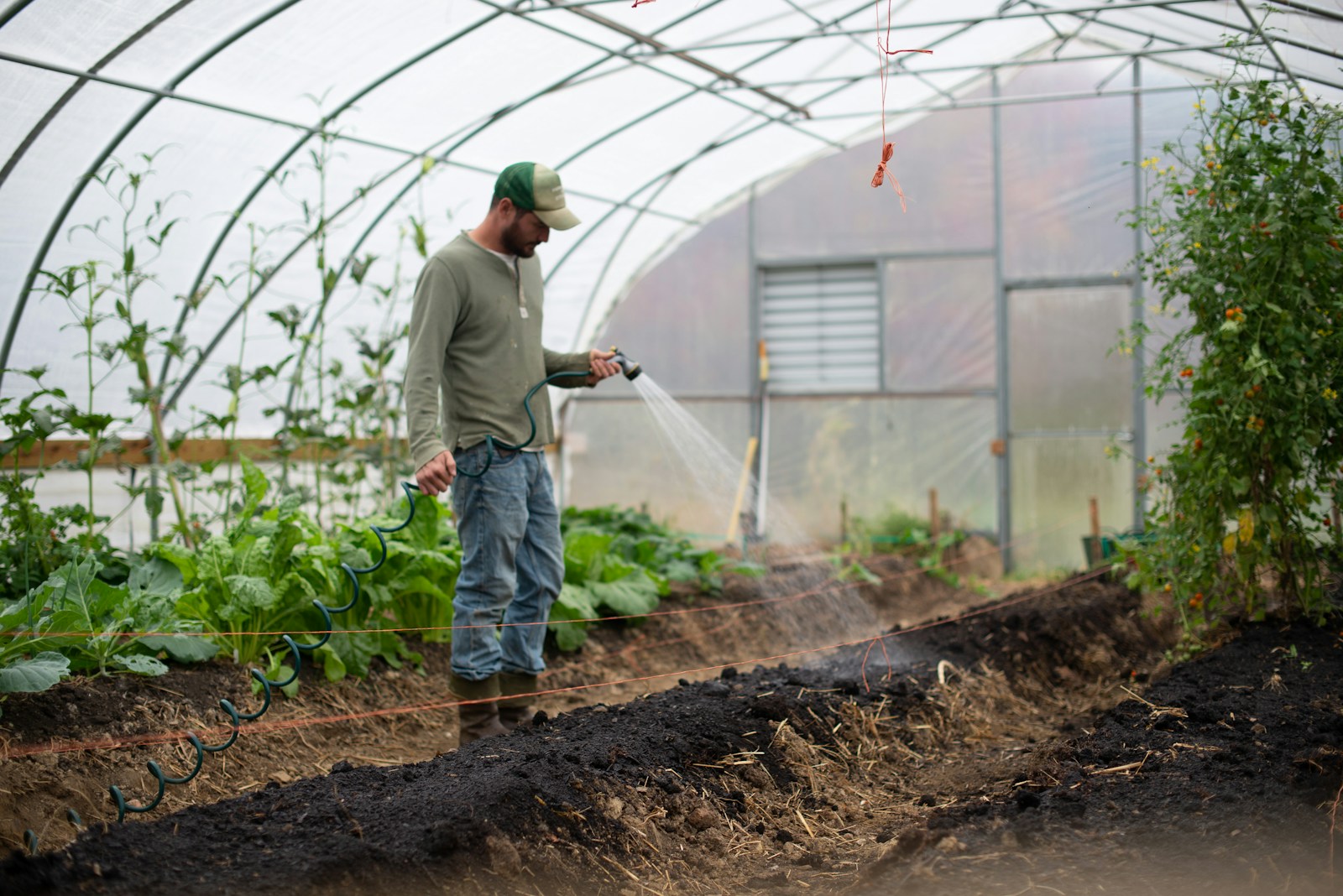 man in green dress shirt and gray pants standing on green plants during daytime, farm
