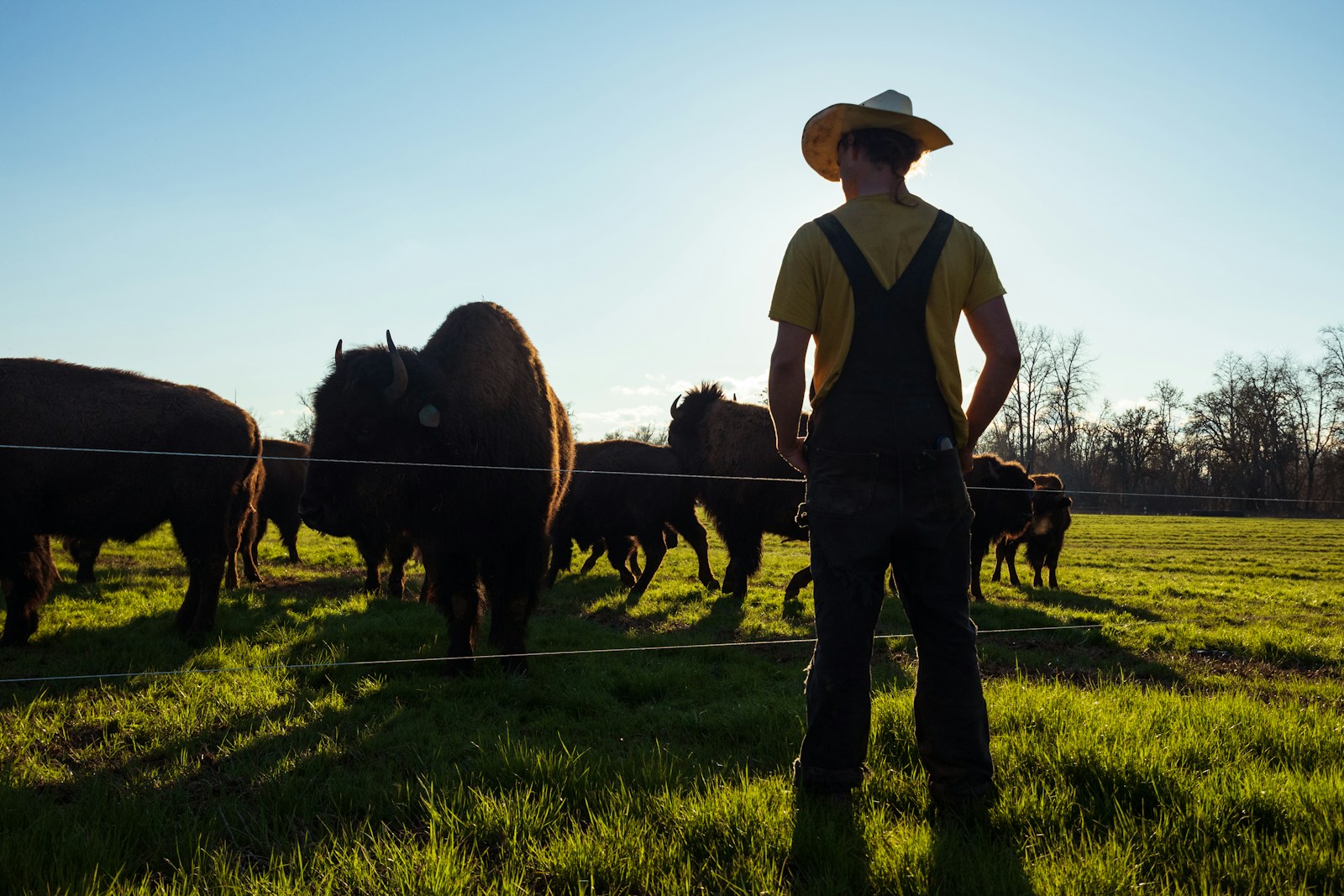 man in white shirt and black pants standing on green grass field with brown horse during, livestock